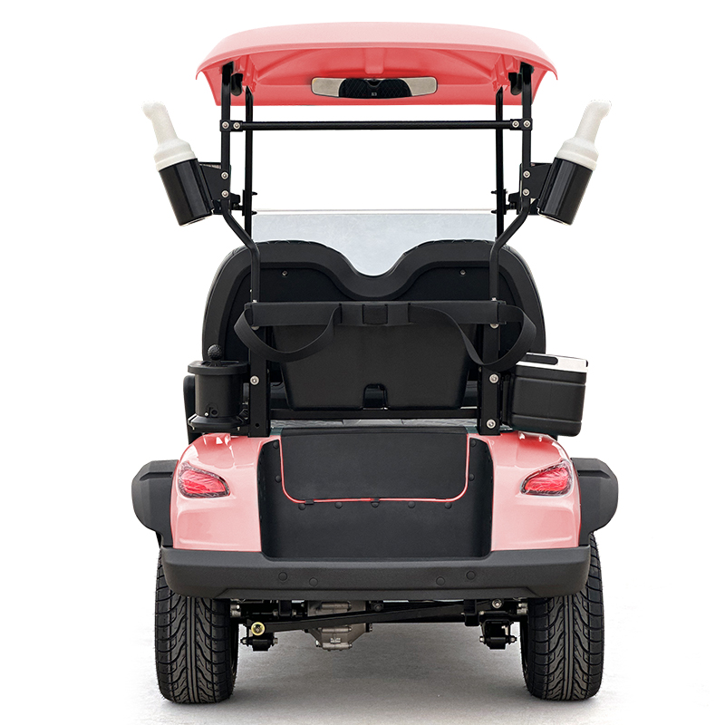 Style C Golfwagen mit 2 Sitzen, rosa