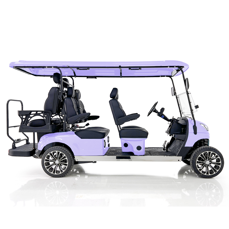 Aerfa 4+2 Sitze Golfwagen Taro Lila