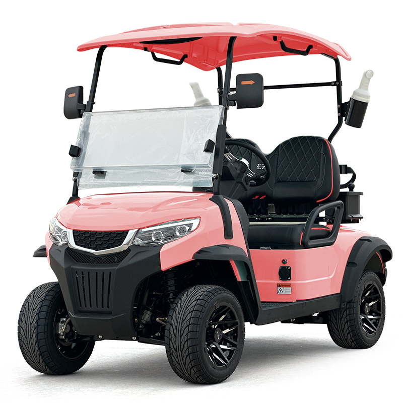 Style C Golfwagen mit 2 Sitzen, rosa