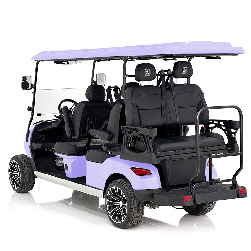 Aerfa 4+2 Sitze Golfwagen Taro Lila